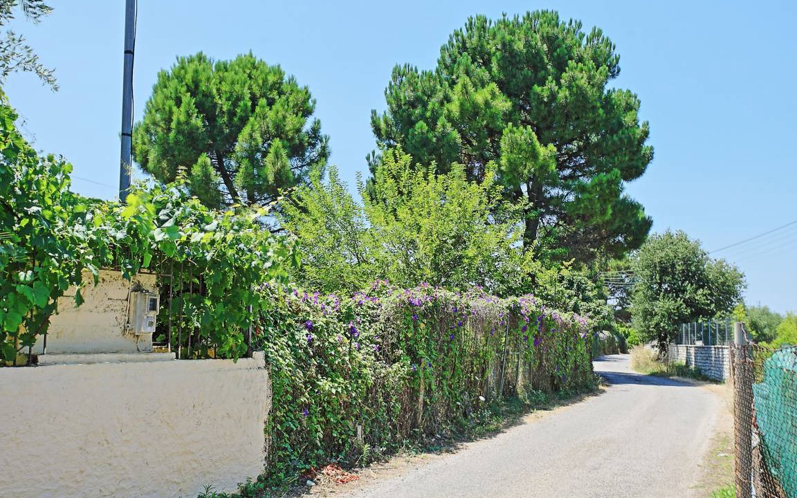 Photo of Others in Almiros Beach
