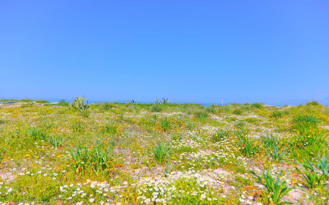 Photo of Others in Almiros Beach