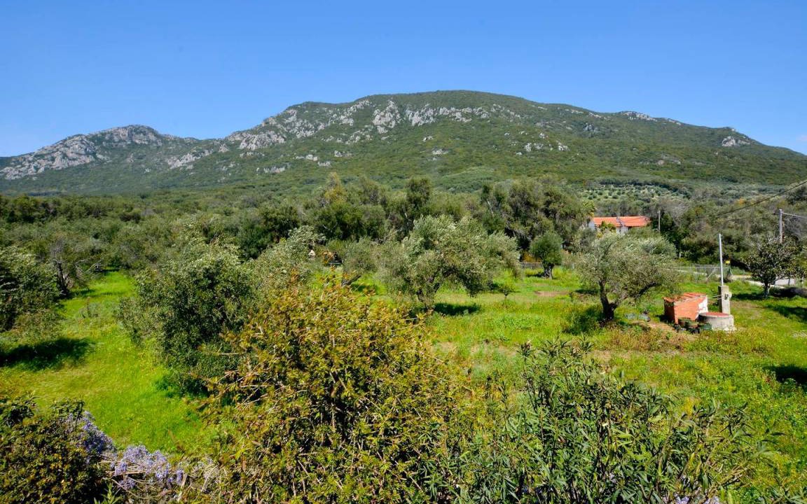 Photo of Others in Agios Matthaios