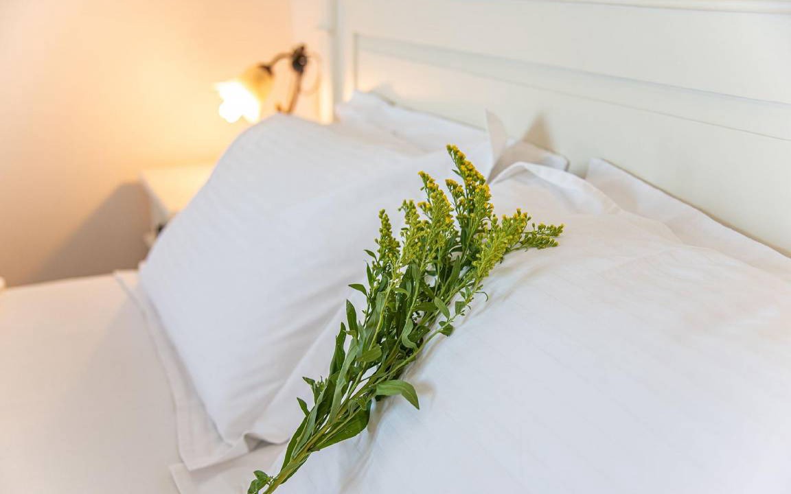 Photo of Bedroom in Nisaki