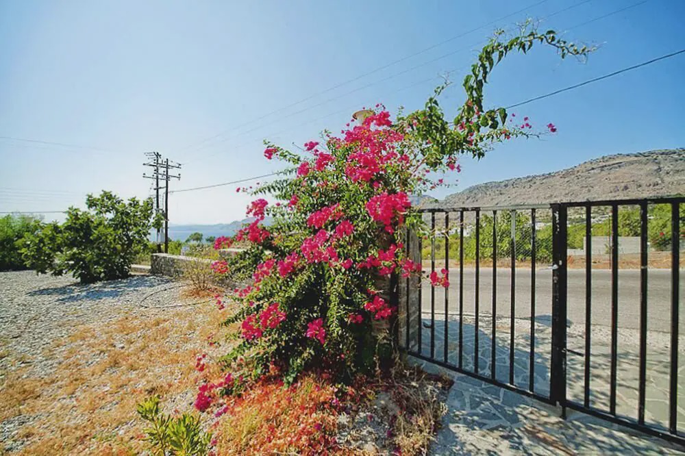 Photo of Others in Pefkos