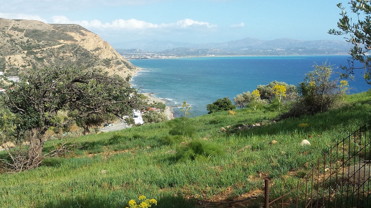 Photo of Others in Agia Galini