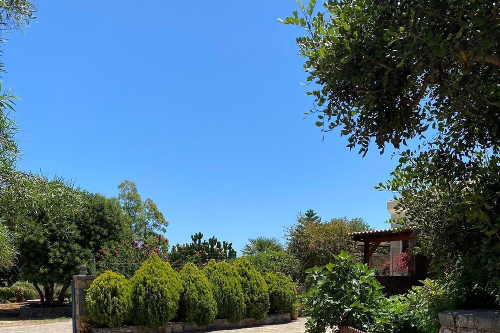 Photo of Outdoor in Plaka