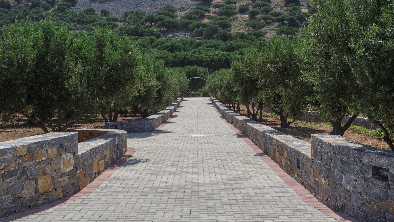 Photo of Outdoor in Pefki