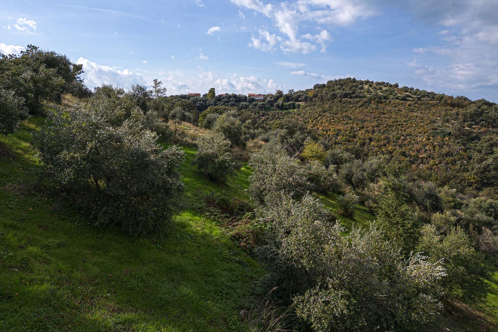 Photo of Others in Peroulion