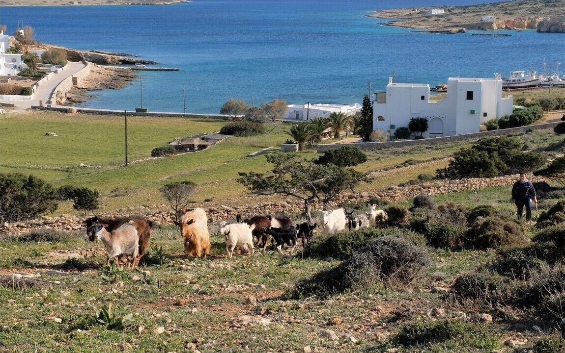Photo of Outdoor in Koufonisia
