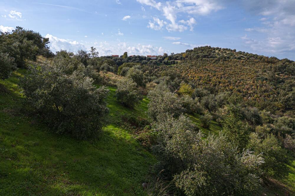 Photo of Outdoor in Peroulion