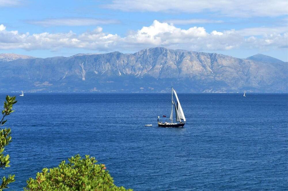 Photo of Others in Lygia