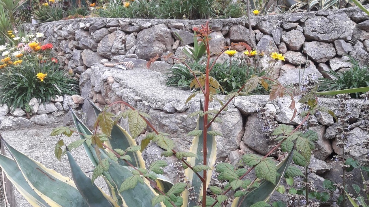 Photo of Outdoor in Katochori