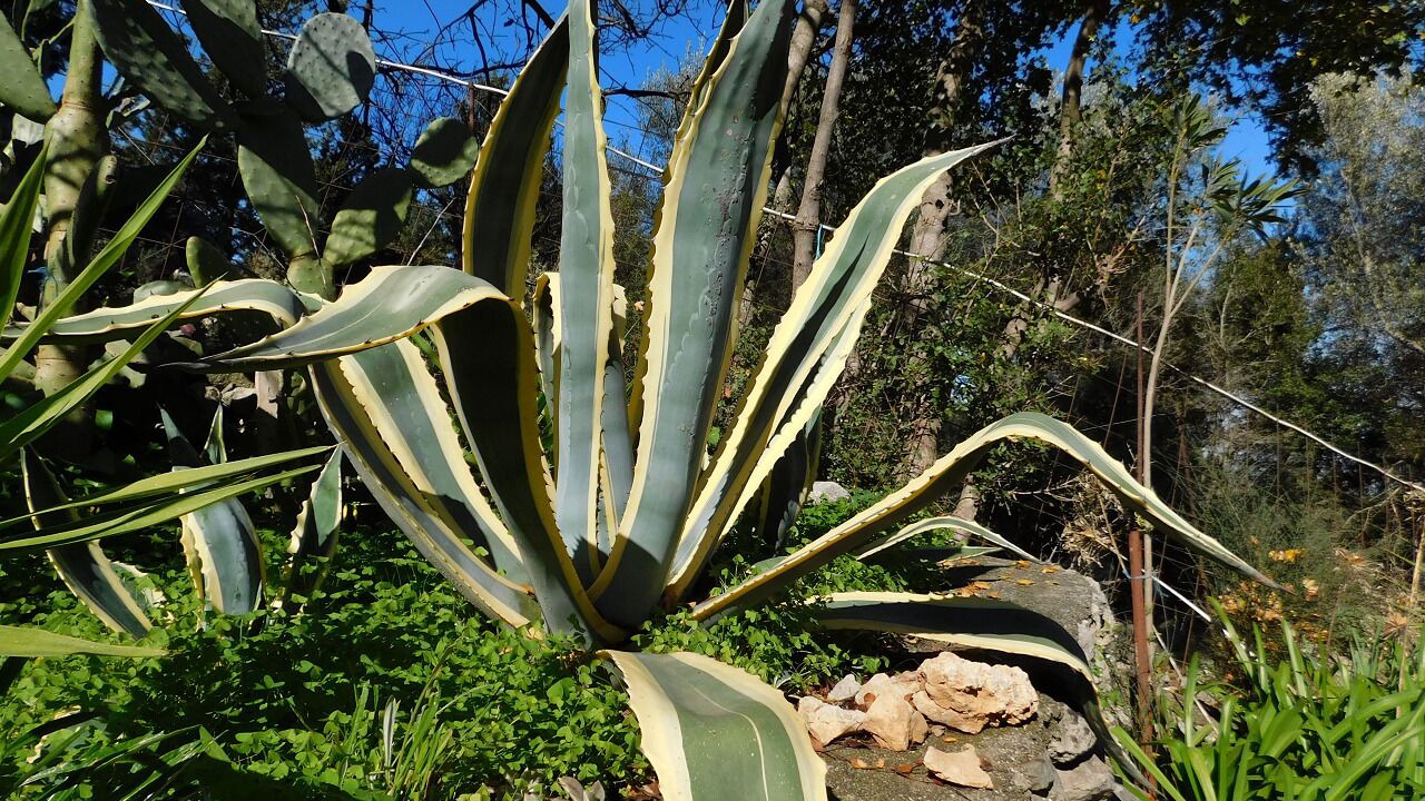 Photo of Outdoor in Katochori