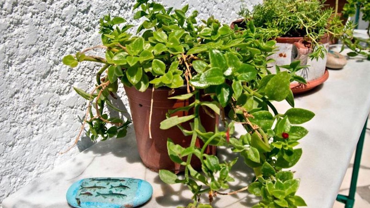 Photo of Outdoor in Ferma