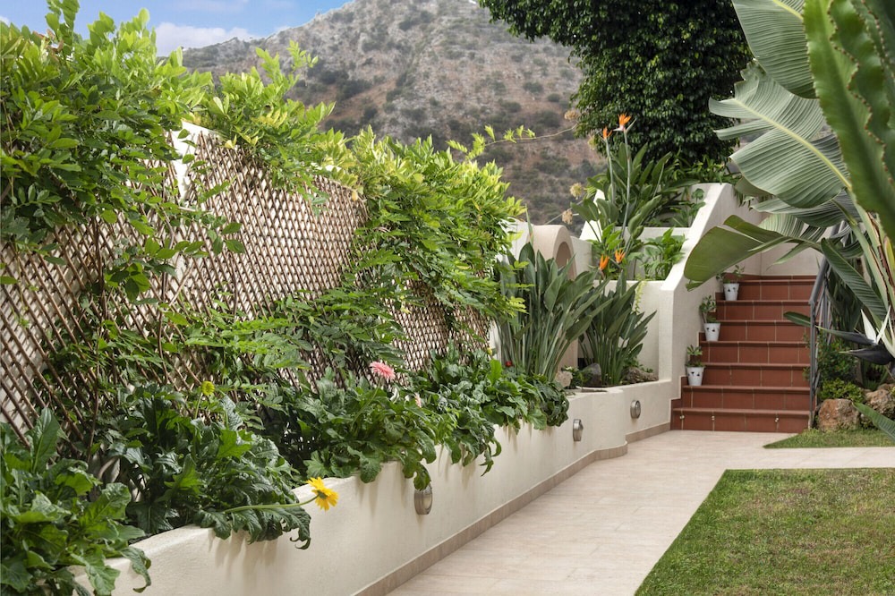 Photo of Outdoor in Flamouriana