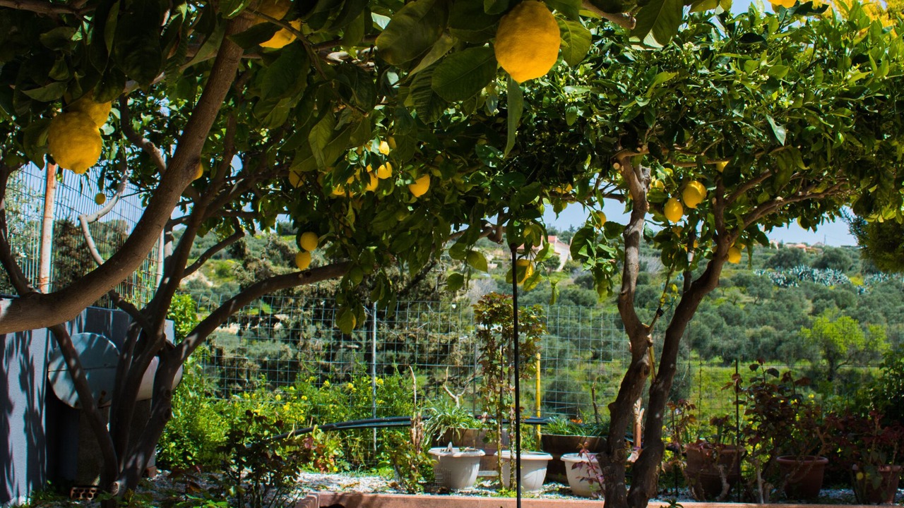 Photo of Outdoor in Gouves
