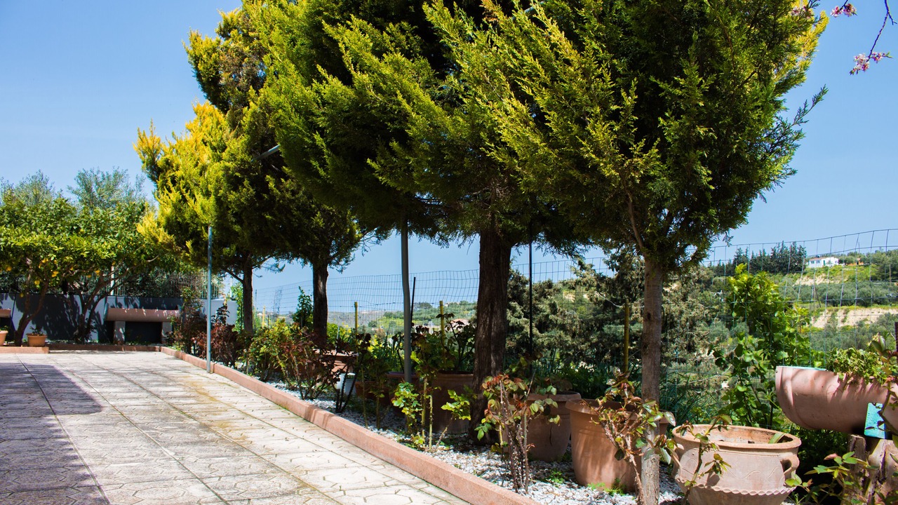 Photo of Outdoor in Gouves