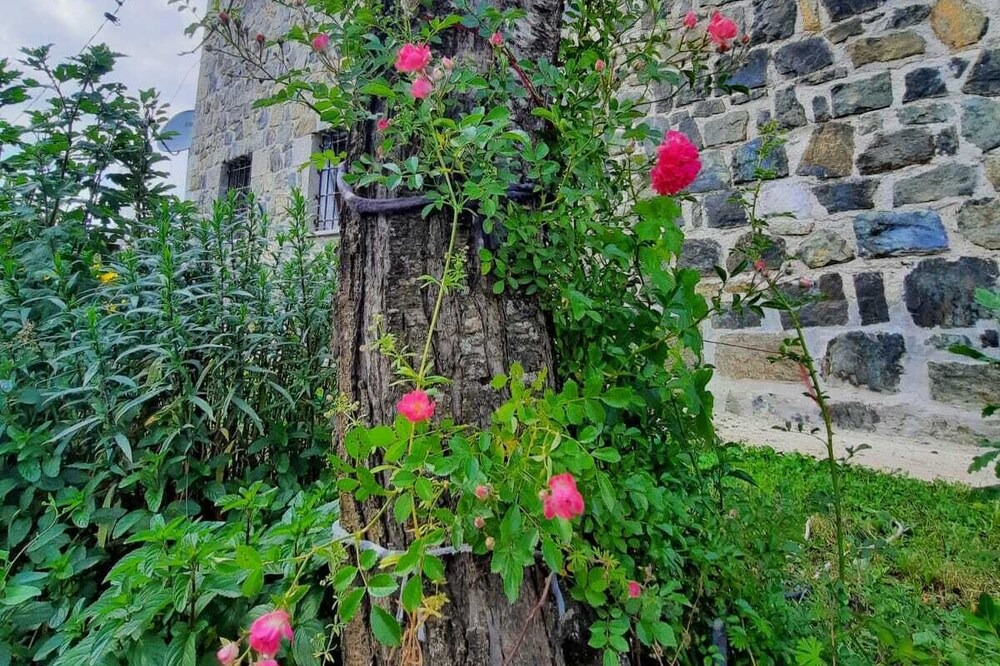 Photo of Outdoor in Diber