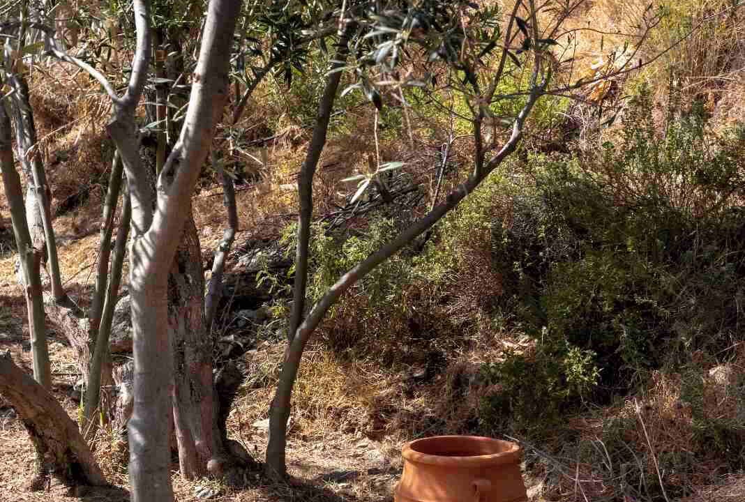 Photo of Outdoor in Skalia