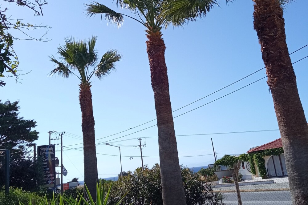 Photo of Outdoor in Theologos