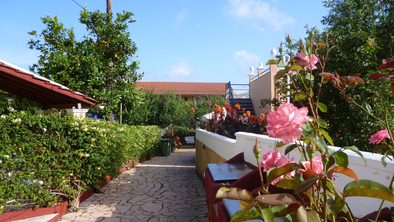 Photo of Outdoor in Agios Georgios Pagon
