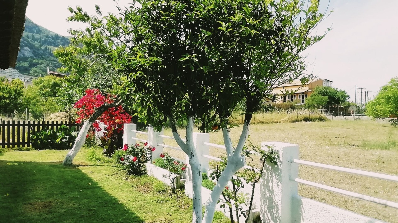 Photo of Outdoor in Agios Gordios