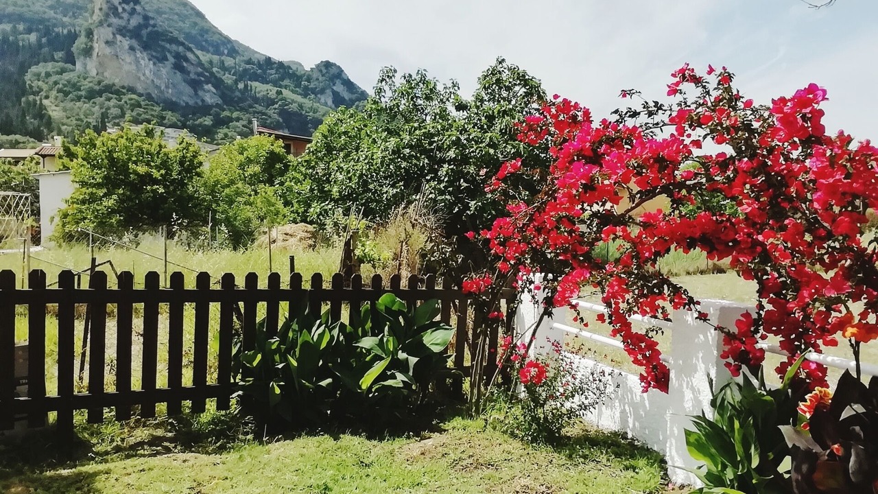 Photo of Outdoor in Agios Gordios