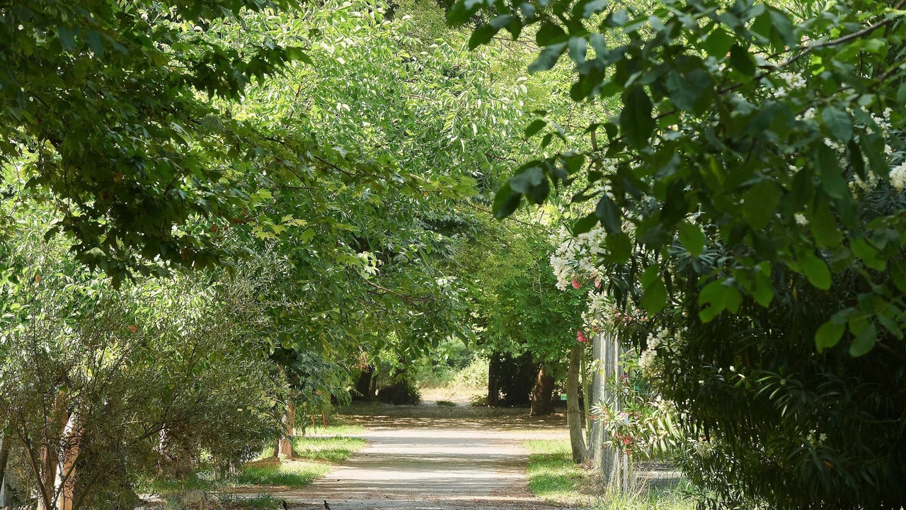 Photo of Outdoor in Litochoro