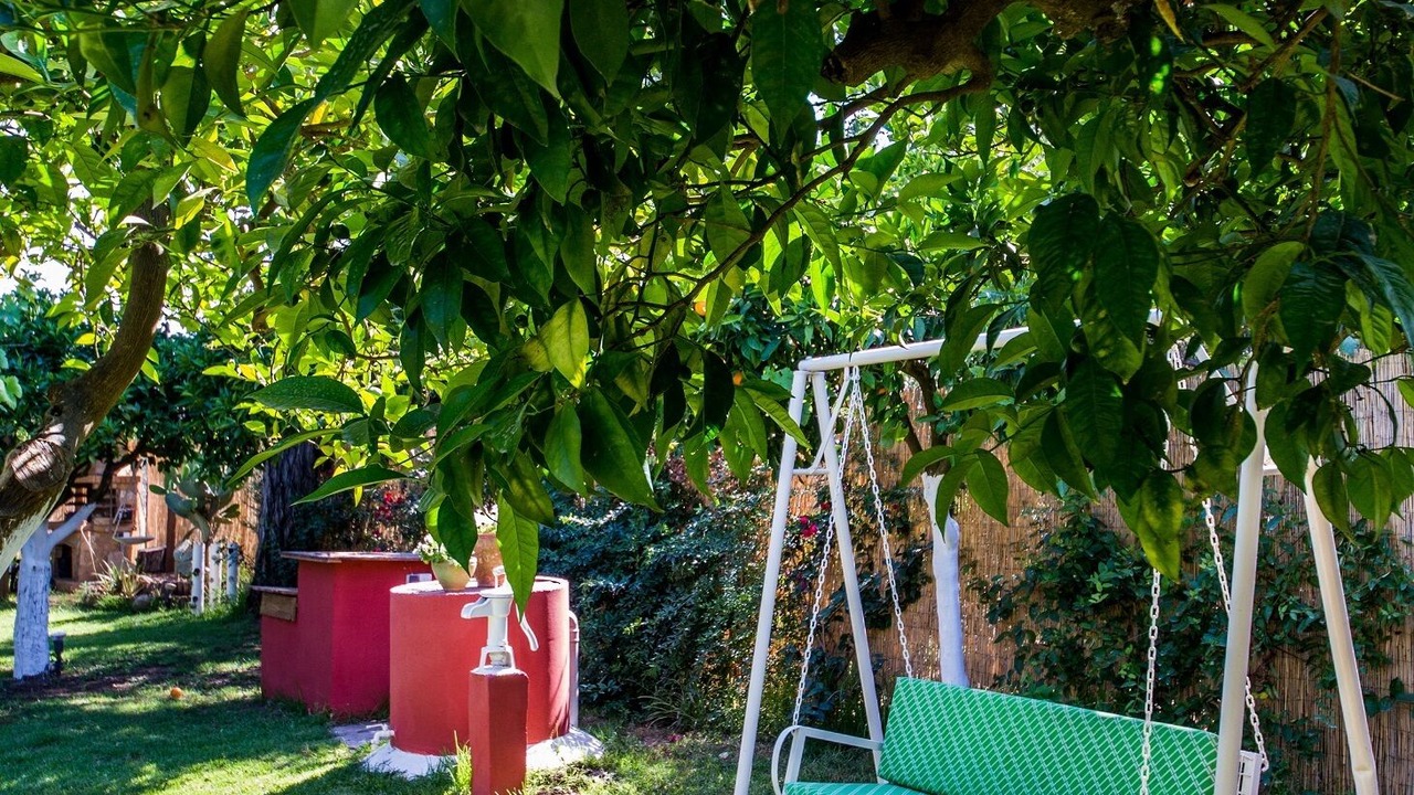 Photo of Outdoor in Kalamata