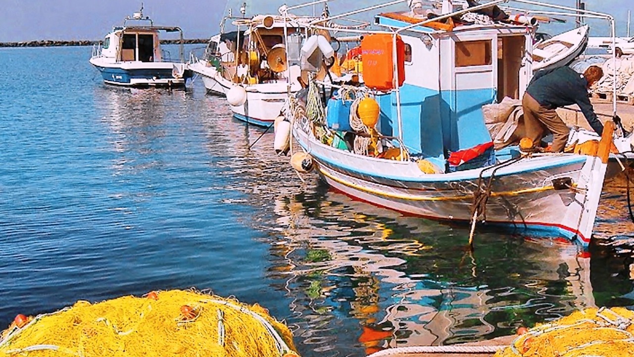 Photo of Others in Agios Sostis