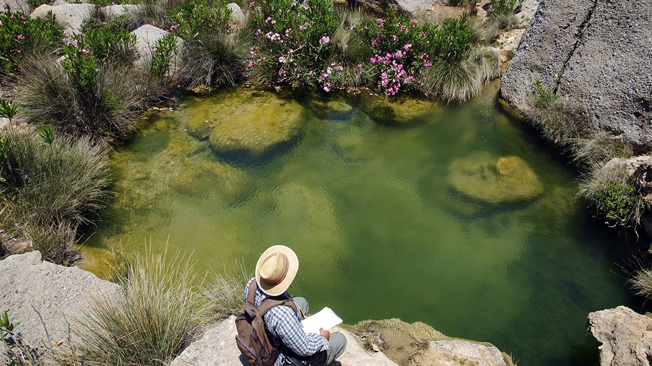 Photo of Outdoor in Vigla