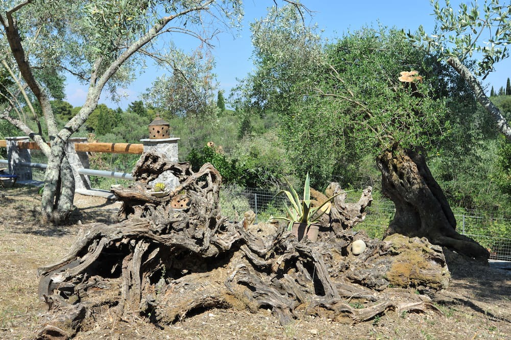 Photo of Outdoor in Kato Korakiana
