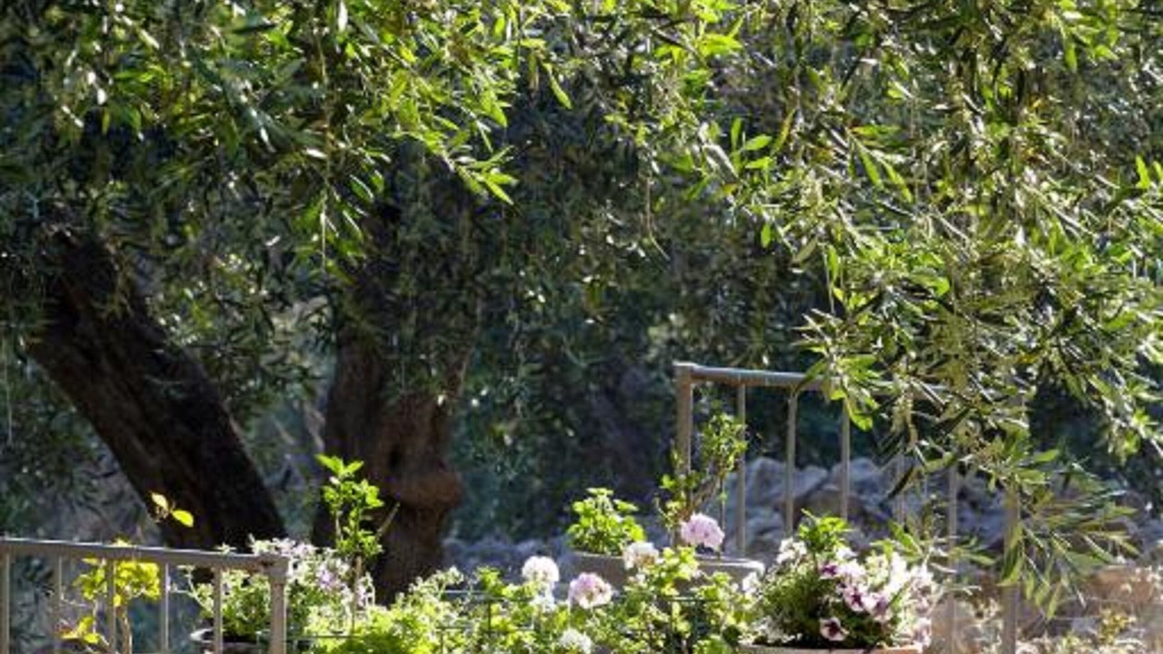 Photo of Outdoor in Lakka