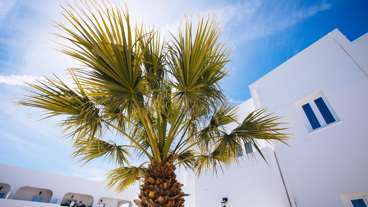 Photo of Outdoor in Karterados