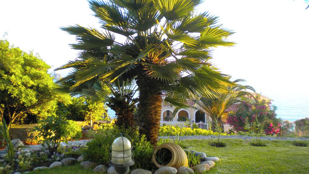 Photo of Patio Balcony in Agios Gordios