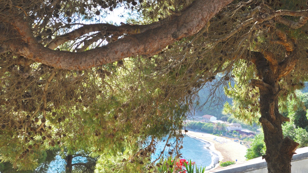 Photo of Patio Balcony in Glyfada