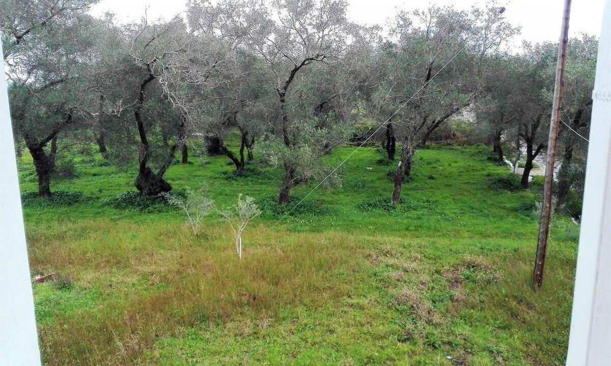Photo of Outdoor in Messonghi
