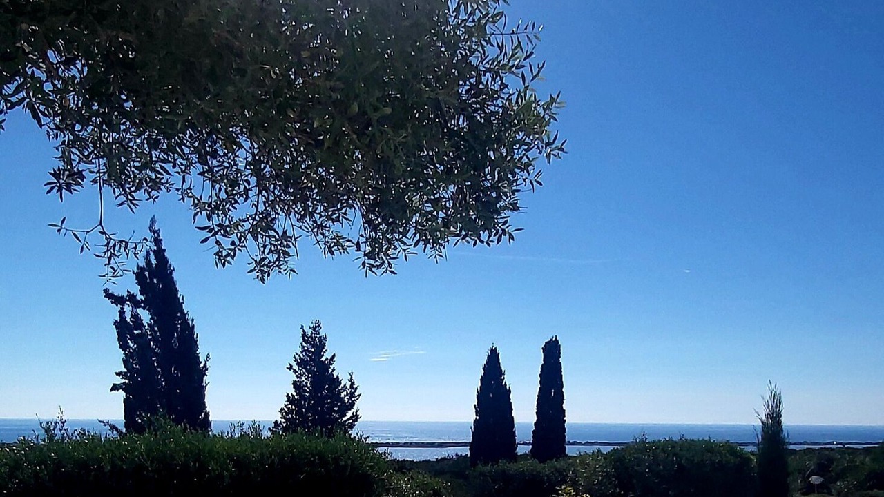 Photo of Outdoor in Dafnata
