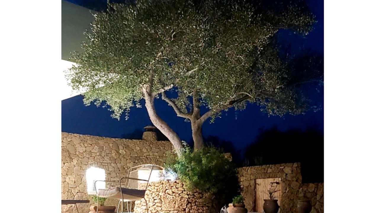 Photo of Outdoor in Dafnata