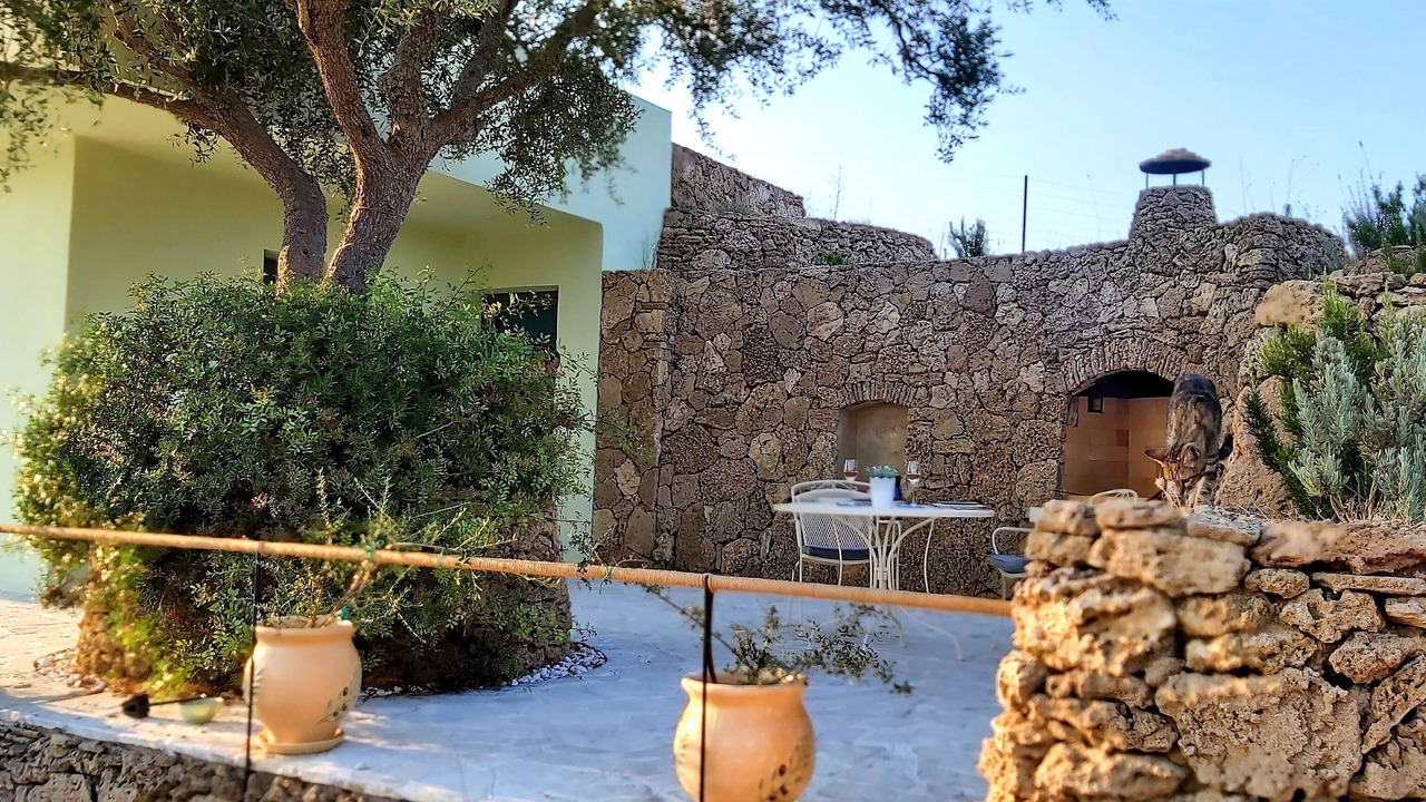 Photo of Outdoor in Dafnata