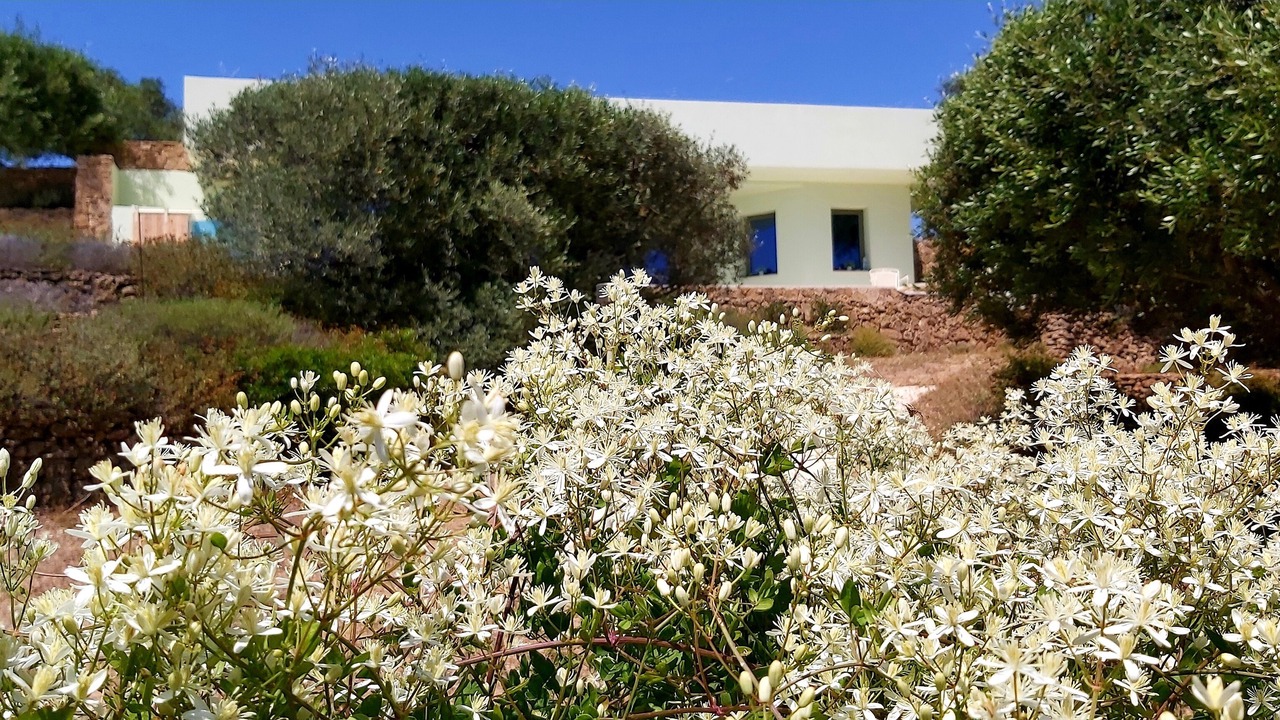 Photo of Outdoor in Dafnata