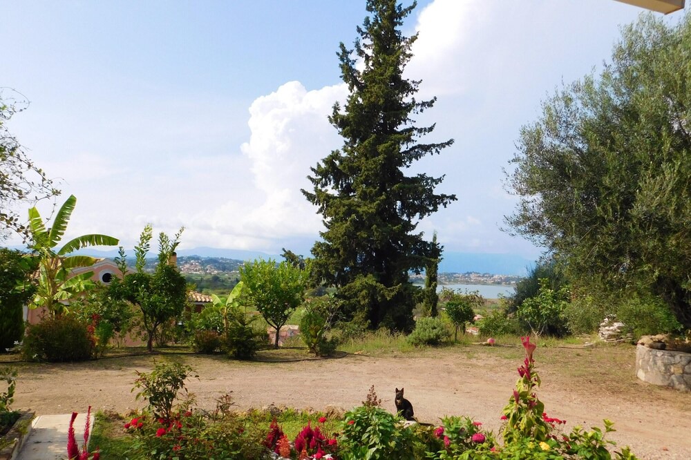 Photo of Outdoor in Perama