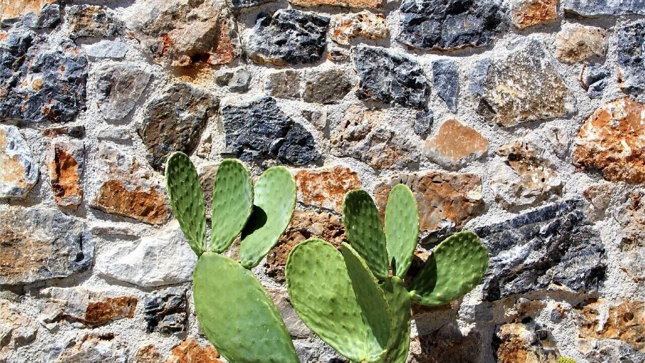 Photo of Outdoor in Plaka
