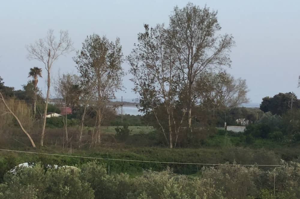 Photo of Others in Chalikounas