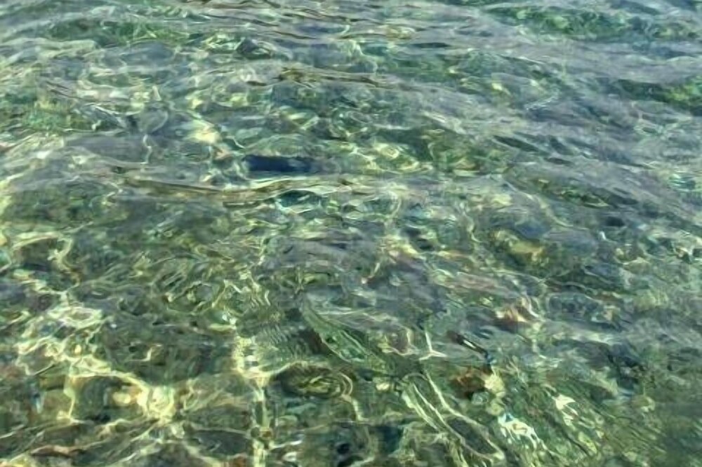 Photo of Others in Aristotelis