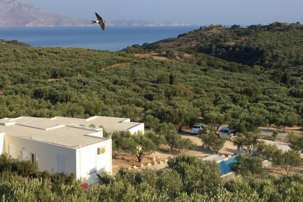 Photo of Outdoor in Plakalona