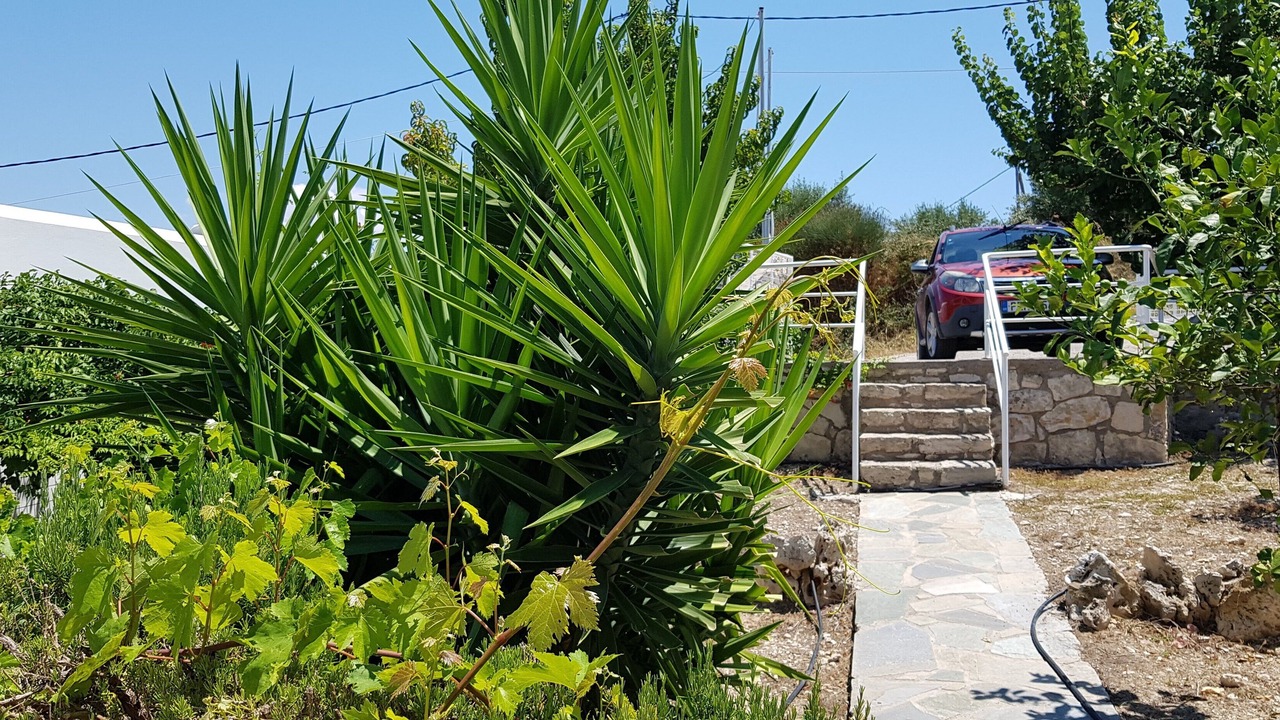 Photo of Outdoor in Agia Triada