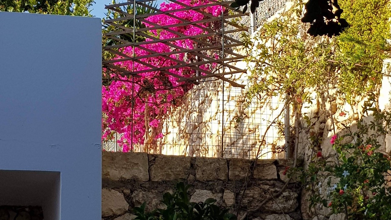 Photo of Outdoor in Agia Triada