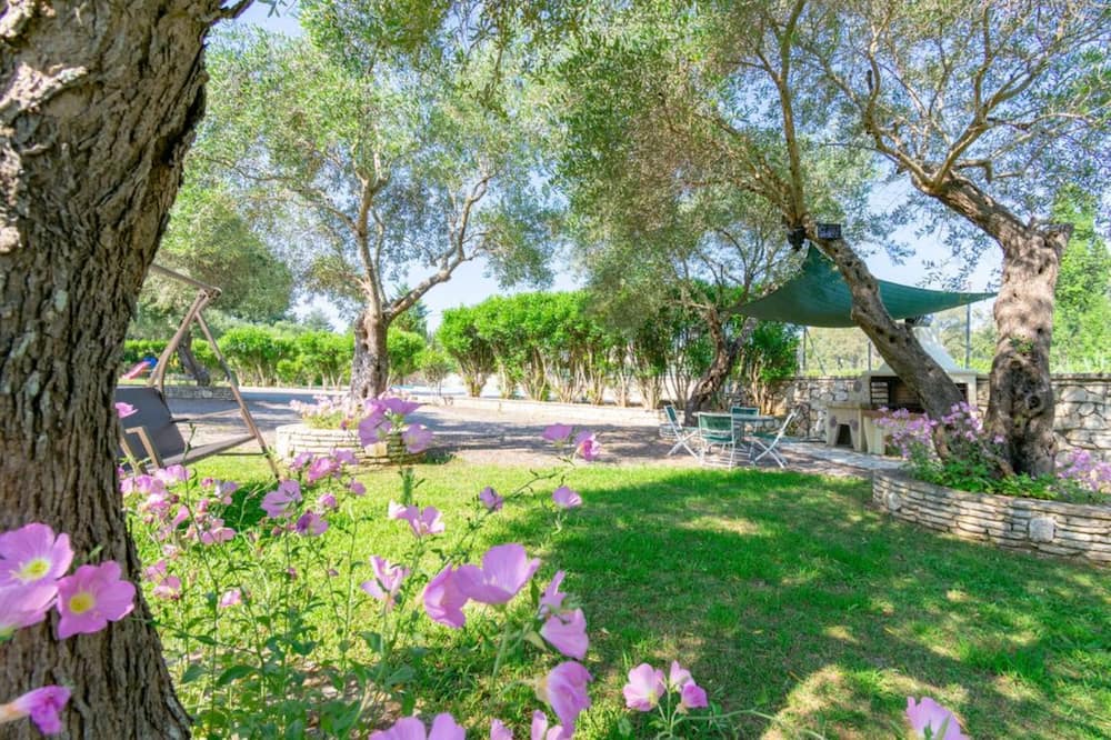 Photo of Outdoor in Dassia