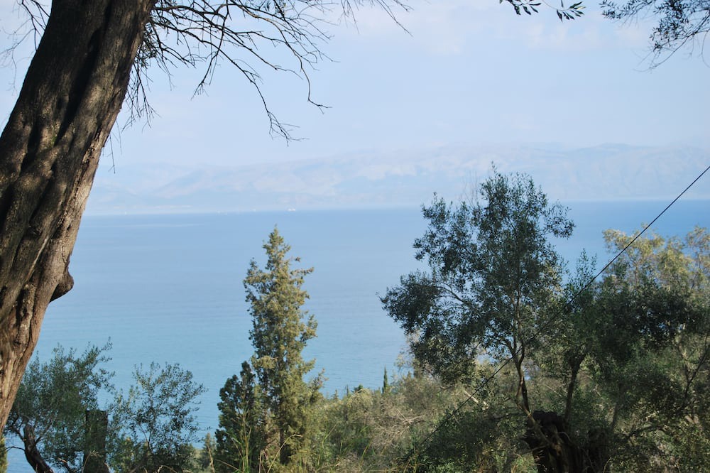 Photo of Others in Korakades