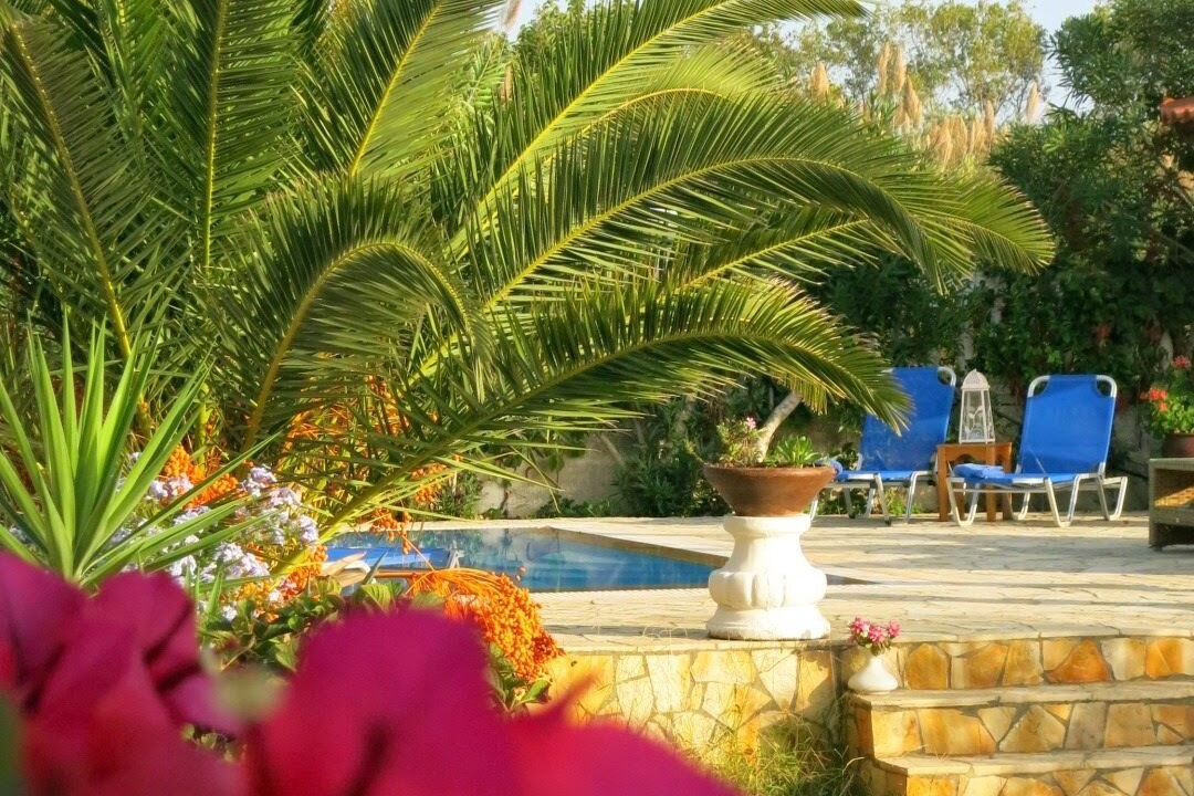 Photo of Outdoor in Dafnata