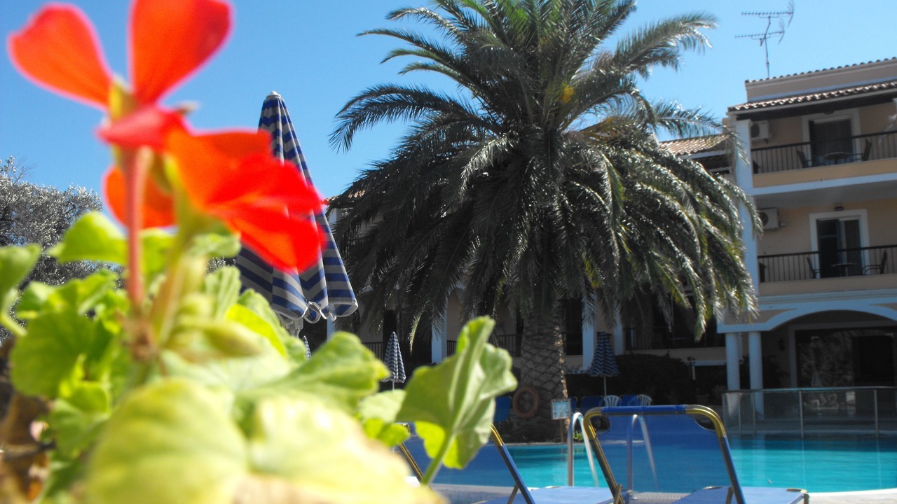 Photo of Outdoor in Agios Stefanos Avliotes