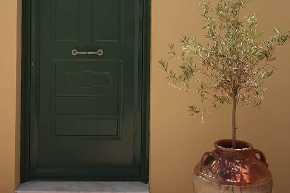Photo of Outdoor in Lahania